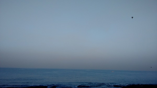 IMG_20151205_075053885