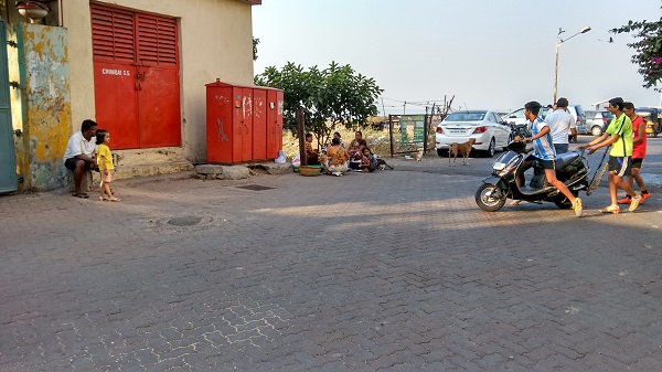 IMG_20151205_083533203_HDR