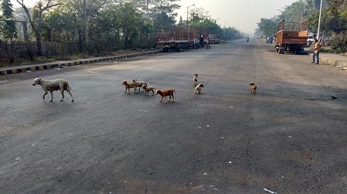 IMG_20151220_091230177_HDR