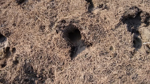 IMG_20151220_150656531