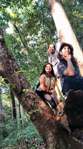 IMG_20151220_153811249