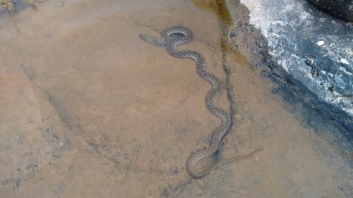 IMG_20151220_180942013