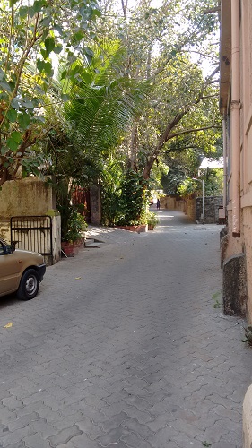 IMG_20160116_110351556