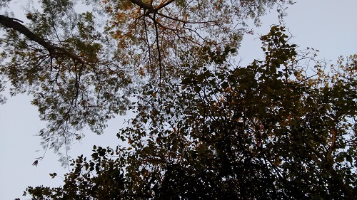 IMG_20160126_073726627