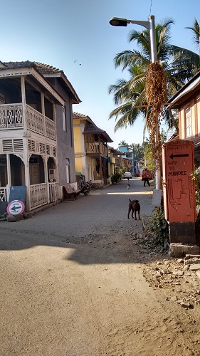 IMG_20160126_093117175_HDR