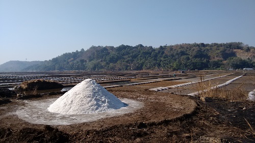 IMG_20160126_100725696