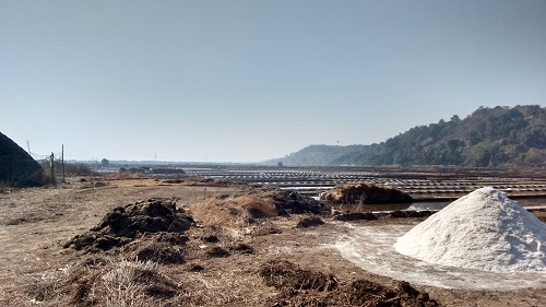 IMG_20160126_100728086_HDR