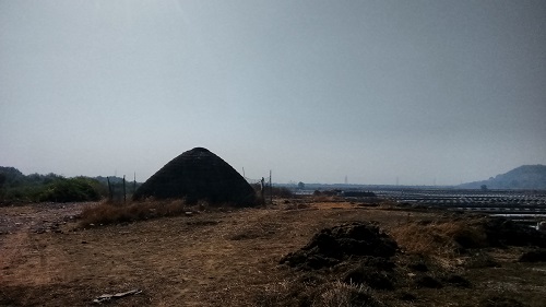 IMG_20160126_100730600