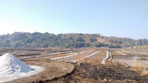 IMG_20160126_100736257