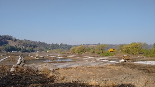 IMG_20160126_100739006