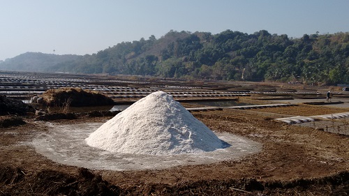 IMG_20160126_100744084