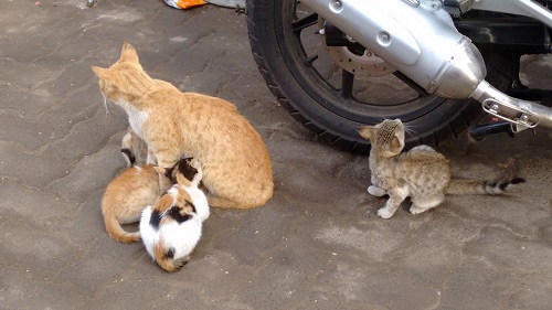 IMG_20160130_083248156