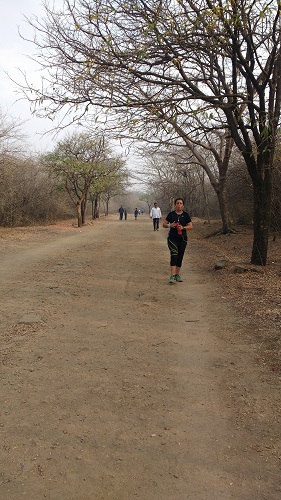 IMG_20160228_084507402