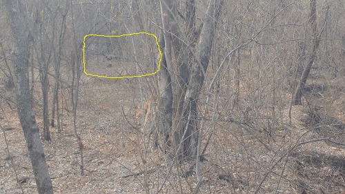 IMG_20160228_090427245