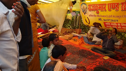 IMG_20160308_143929674