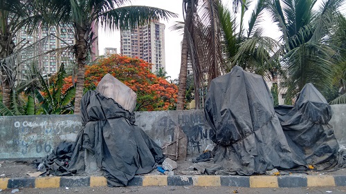 IMG_20160521_062353887_HDR