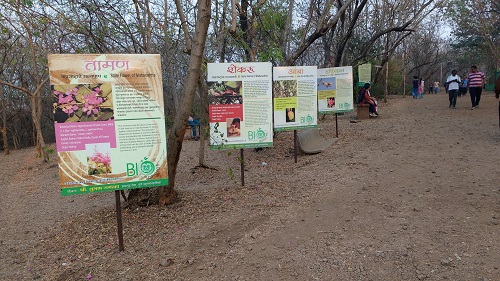 IMG_20160228_073142358