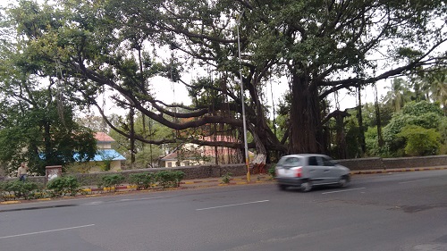 IMG_20160619_064827431