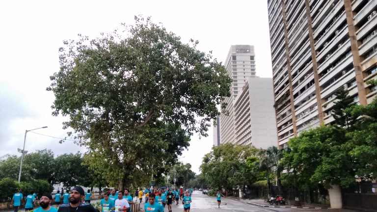 IMG_20160821_071715441