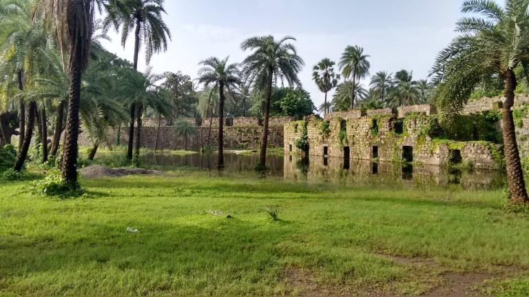 IMG_20160807_082103817_HDR