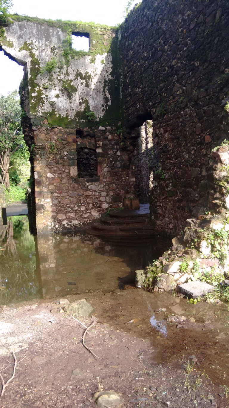 IMG_20160807_082826603