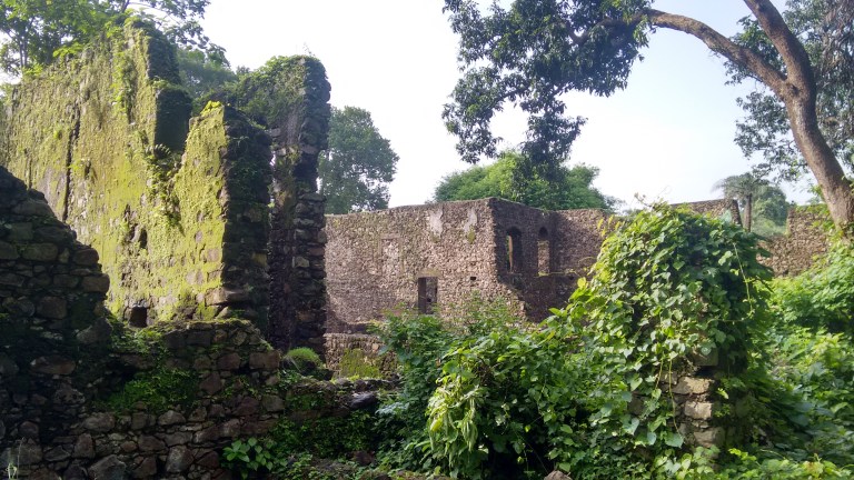 IMG_20160807_083046547_HDR