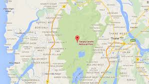 borivali national park